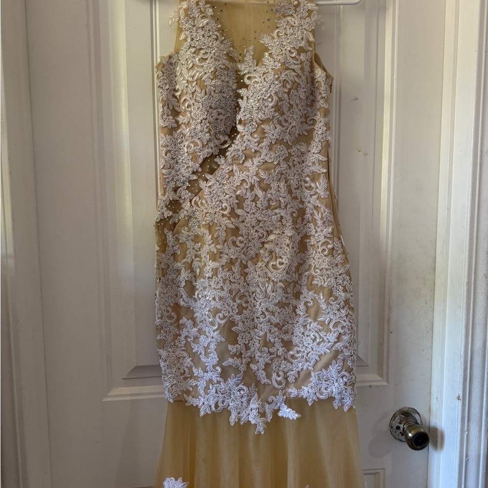 Elegant Lace Overlay Prom Dress